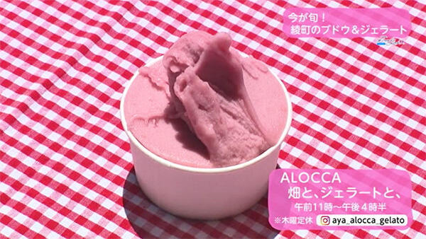 ALOCCA 畑と、ジェラートと、