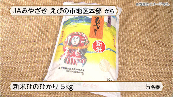 新米ひのひかり 5kg