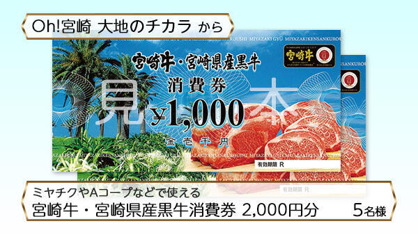 宮崎牛・宮崎県産黒牛消費券 2,000円分