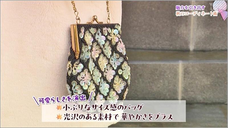 08 小ぶりのバッグ