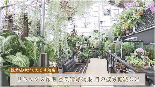 02 MAKE GARDEN 店内