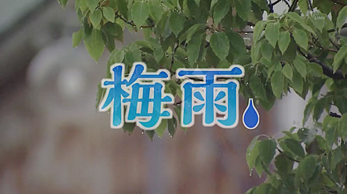 自宅で実践 梅雨対策 6月13日放送 ゆーどきスタイル U Doki Umkテレビ宮崎